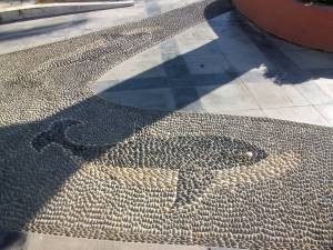 PENTAX DIGITAL CAMERA