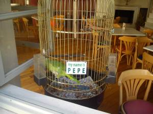 10620763_10203548628054019_3845040997960539326_n