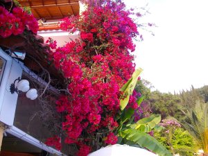 PENTAX DIGITAL CAMERA