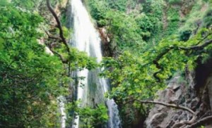 faragirixri-2wn9qf7scta4jk6p4iscga