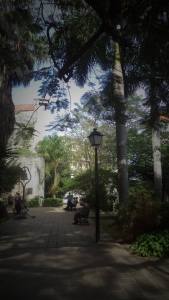 10520538_10204452731416038_8619397409681549486_o