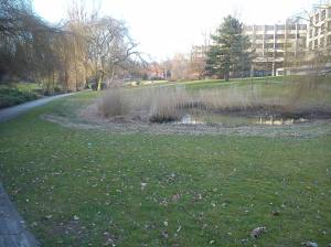 10993972_10204905081964519_7989886500169462003_o