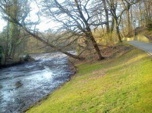 11025946_10204905080564484_9204435014466289272_o