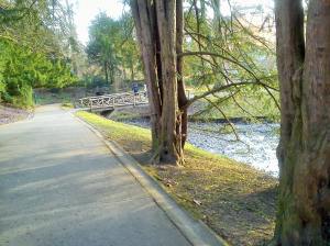 11043411_10204905081404505_8456469674874979453_o