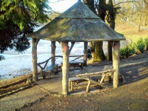 11046607_10204905077844416_2014245999166616345_o