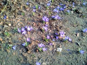 11062048_10204905077364404_5897964580833942051_o