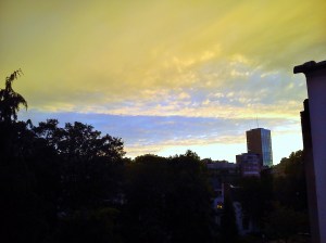DSC_0050