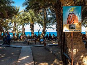 10689796_875754972460159_845709569768224276_n