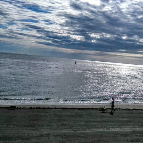 e5428ad5-5743-46aa-b1c5-974a061c68a5