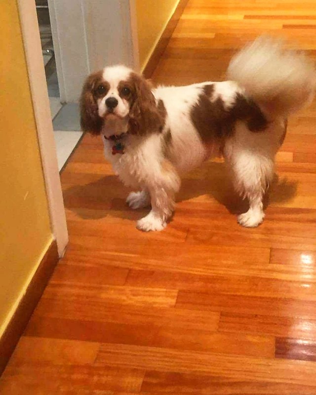 IMG_20170624_194733_727