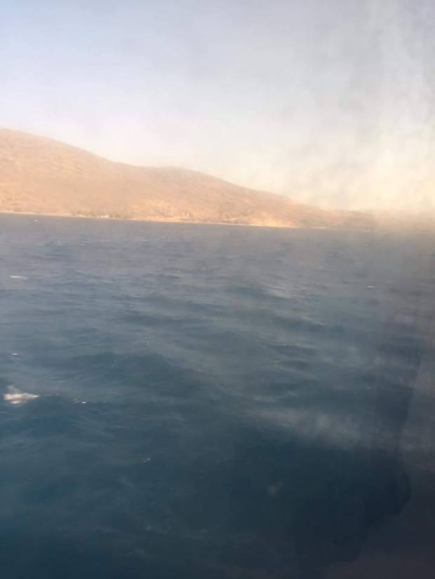 19858515_10211548082435379_958473476_n