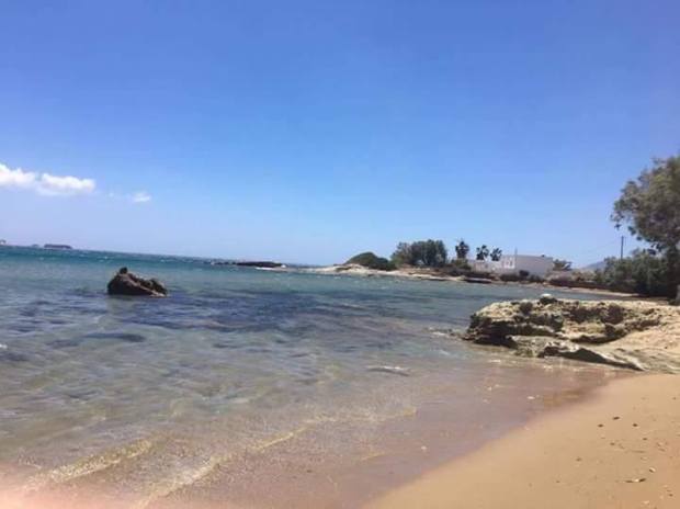 19866525_10211548082115371_136968636_n