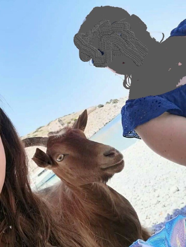 received_13216276813279742