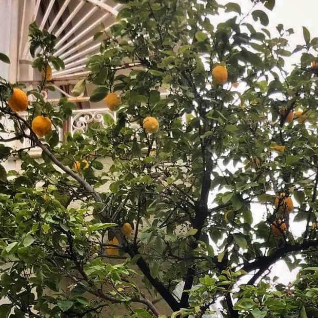 89060032_10219335269870198_8869933341206380544_n