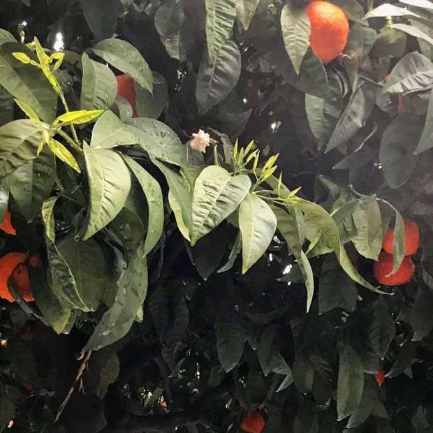 89279282_10219335269030177_324457574889947136_n